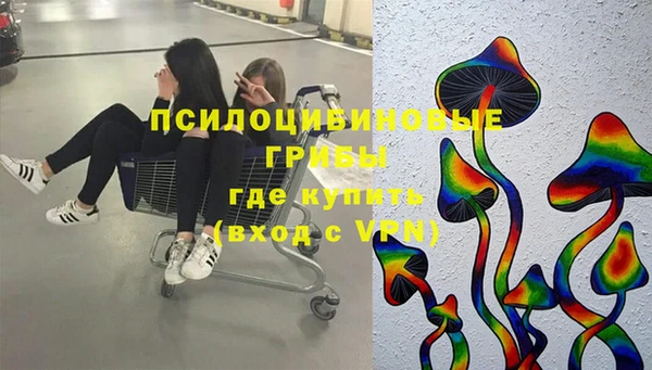 a pvp Алзамай