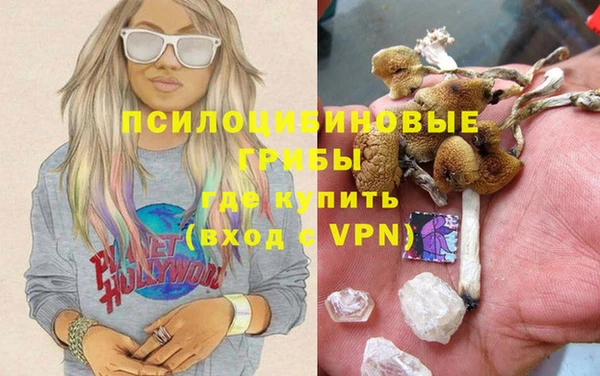 a pvp Алзамай
