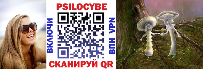Псилоцибиновые грибы GOLDEN TEACHER Лобня